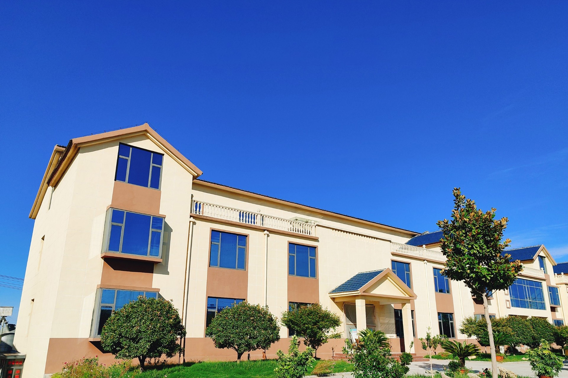 大规模蛋鸡养殖的挑战与对策解析